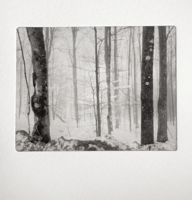 Photogravure print from Sample Plate #1
