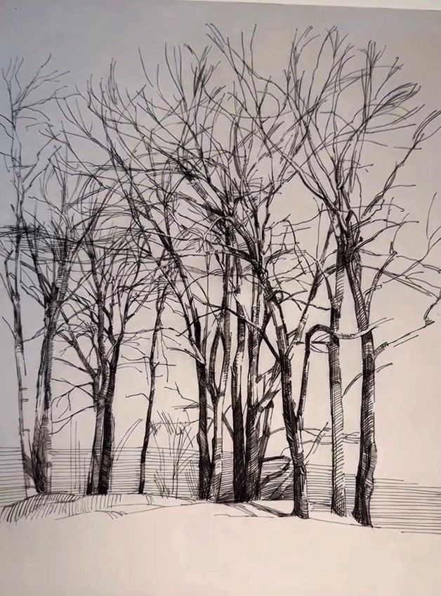 Photogravure print by Chris Jagers of a stand of bare trees, printed during a week at the studio