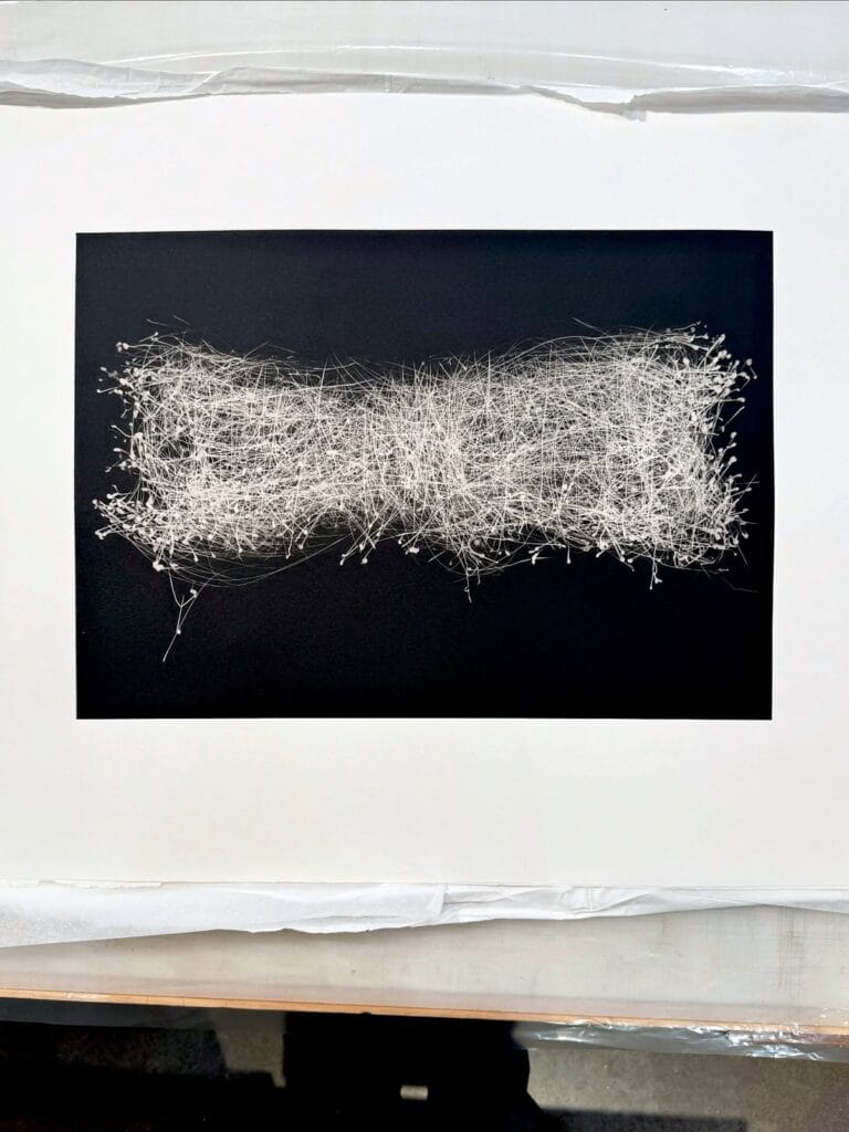 Photogravure of a fibrous sculpture by Anat Pollack, white lines on a deep black field